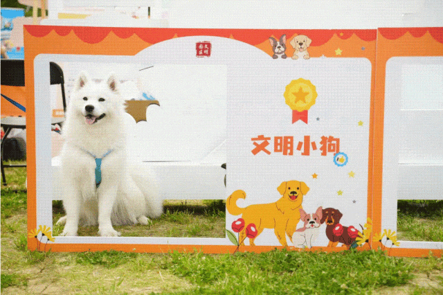 3.gif